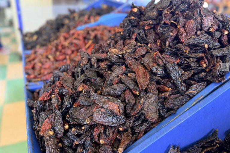 Imagen 06 10 25 a las 4.33 p.m 768x511